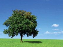 The Environmental Effects of Different Worktop Materials